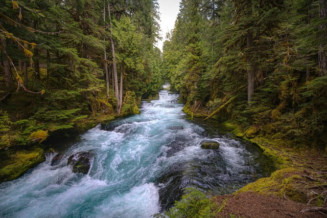 mckenzie-river-5129717_640