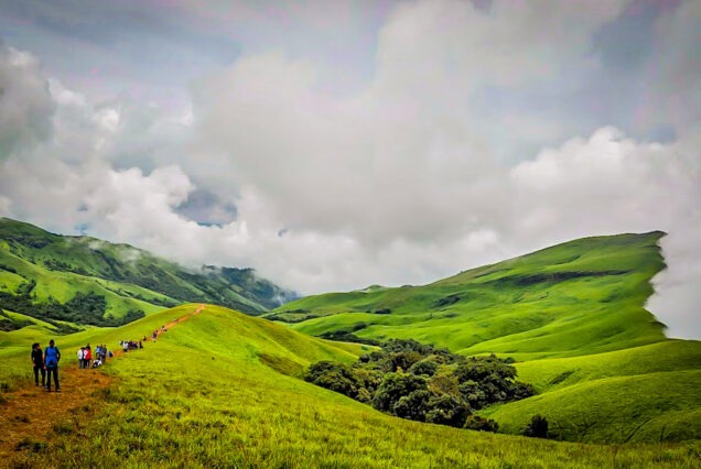 Lush greenery along the Netravati River trek