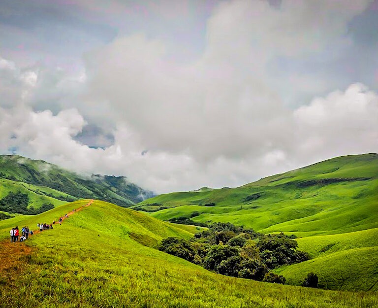 Lush greenery along the Netravati River trek