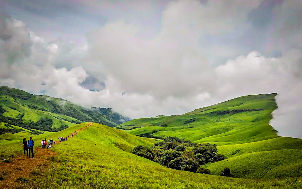 Lush greenery along the Netravati River trek