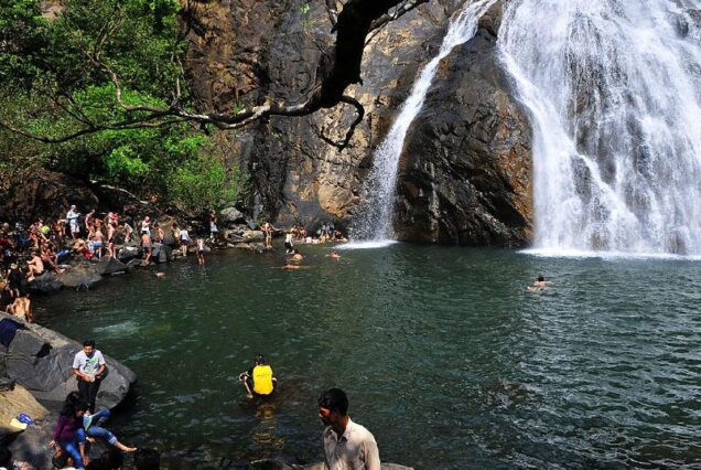 Dudhsagar Waterfalls Trek from Bengaluru By AranyaAdventure