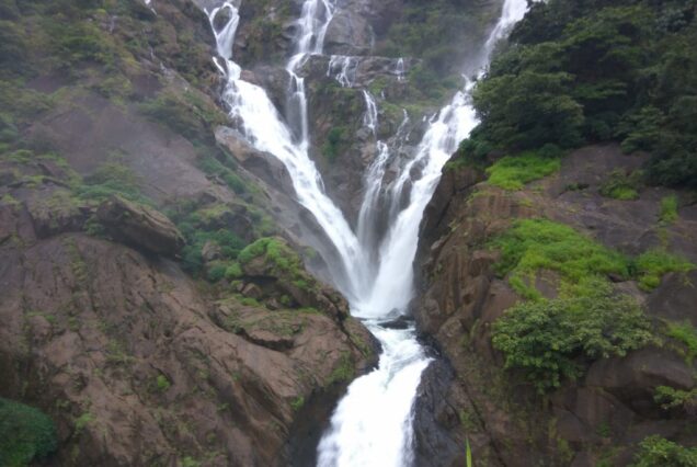 Dudhsagar Waterfalls Trek from Bengaluru By AranyaAdventure