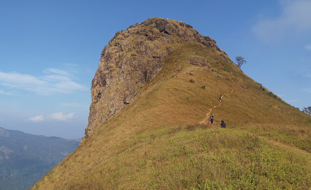 Ettina Bhuja Trek, Chikmagalur By AranyaAdventure