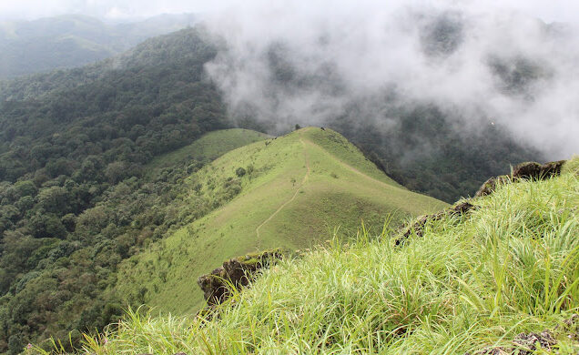 Ettina Bhuja Trek, Chikmagalur By AranyaAdventure