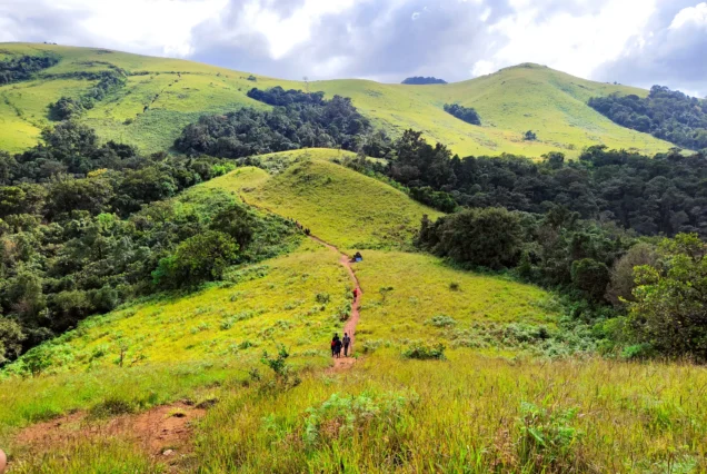 Kodachadri Trek Shivamogga By AranyaAdventure