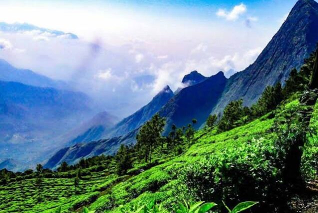 Munnar Backpacking Tour By AranyaAdventure