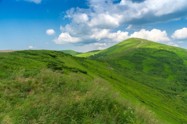 Nishani Motte Trek, Coorg By AranyaAdventure