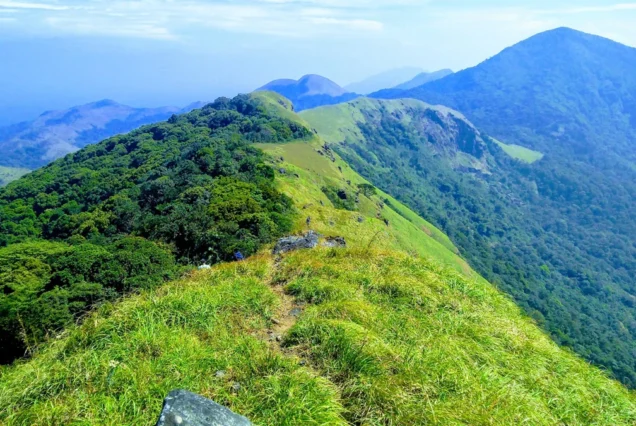 Nishani Motte Trek, Coorg By AranyaAdventure