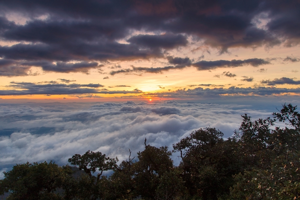 Shivagange Sunrise Trek By AranyaAdventure