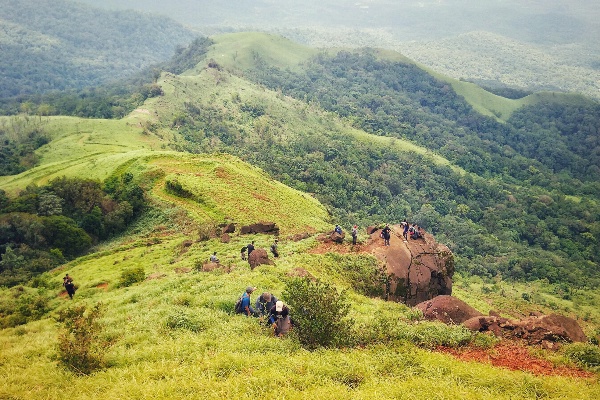 Kurinjal Trek by AranyaAdventure