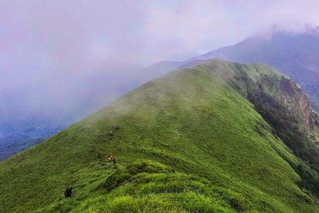 Nishani Motte Trek, Coorg By AranyaAdventure