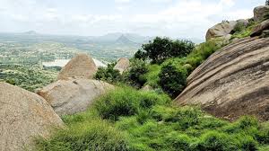 Adventurers hiking through lush greenery at Minchu Kallu Betta.